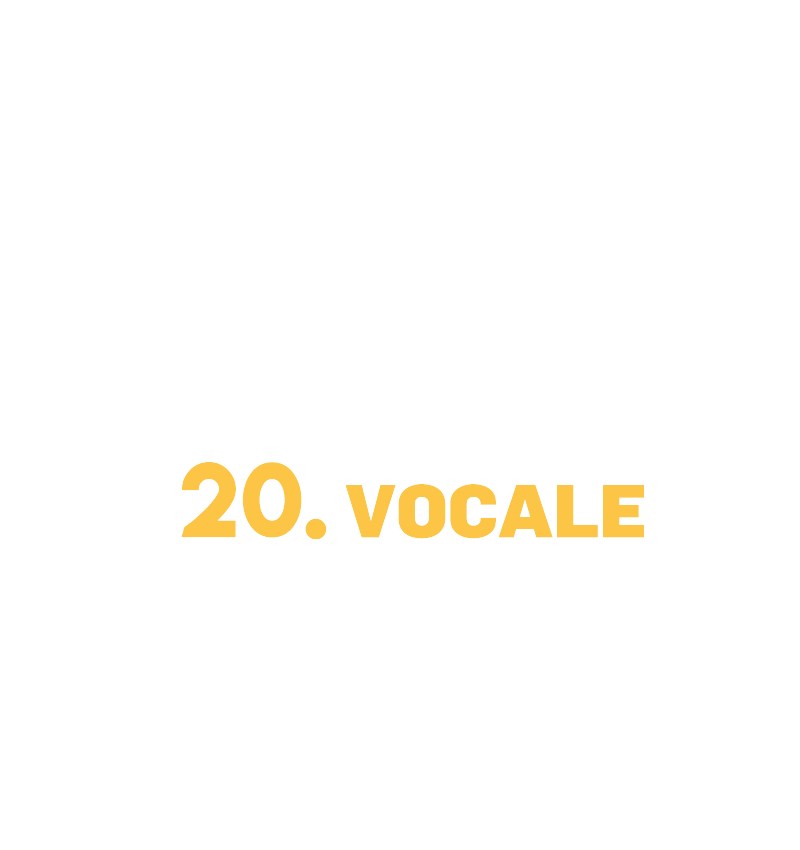 20. transVOCALE 20. transVOCALE